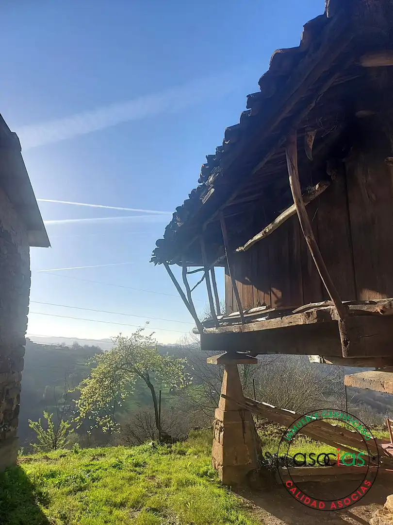 Vista exterior de Casa o chalet en venta en Langreo con Jardín privado, Terraza y Trastero