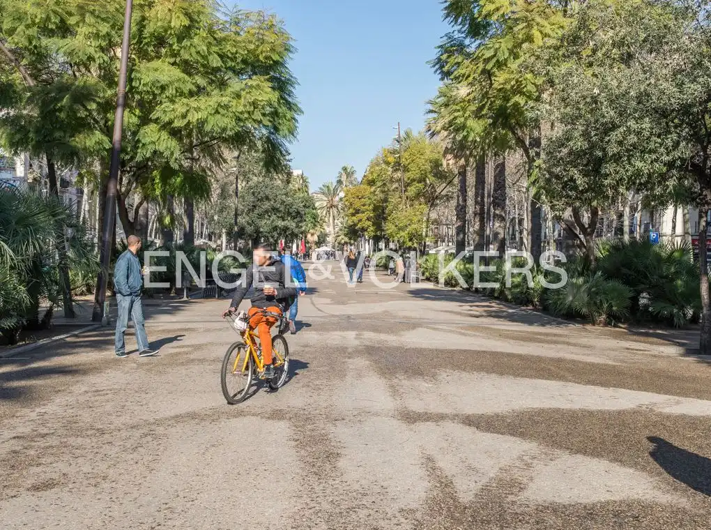 Appartamento con terrazza in vendita a Ciutat Vella, imagen 23