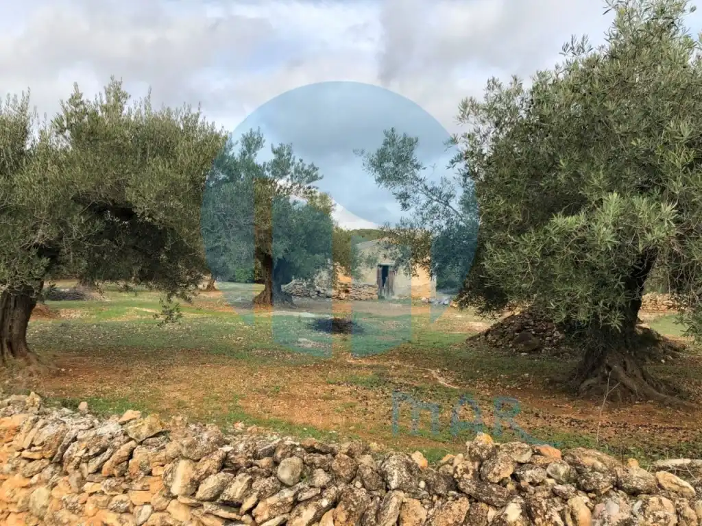 Finca rústica en venda en L'Ampolla