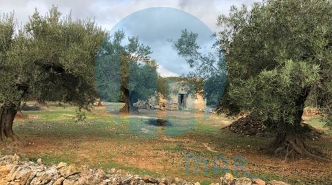 Foto 3 de Casa o chalet en venta en N/a, L'Ampolla, Tarragona