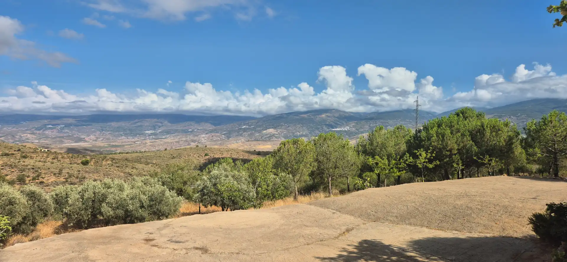 Terrain rustique à vendre à Alcolea, imagen 14