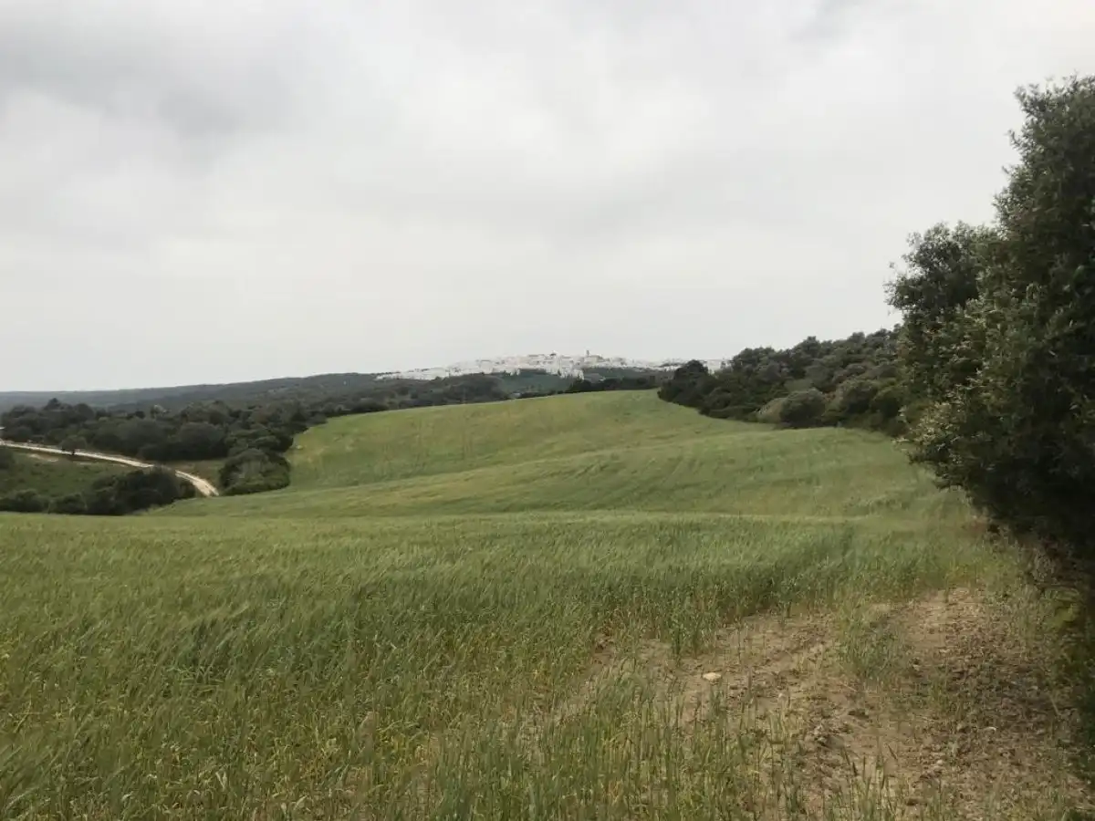 Terreny rústic en venda a Vejer