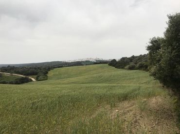 Terreno rustico in vendita a Vejer