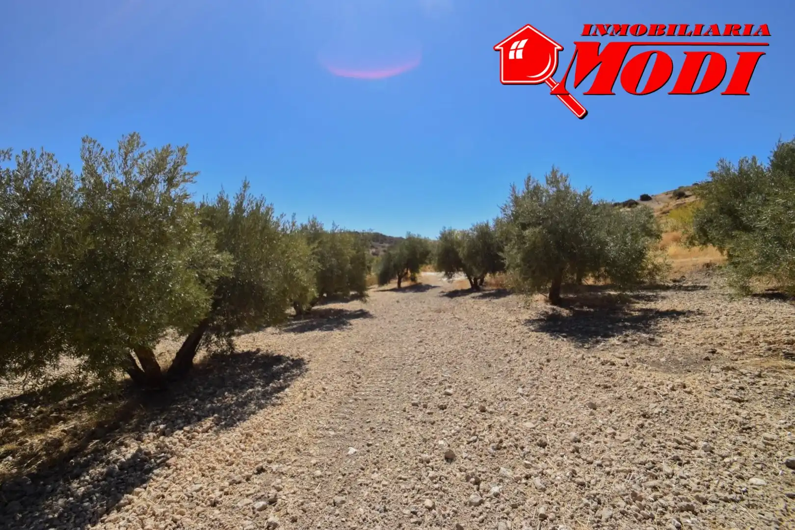 Finca rústica en venda en Cacín amb Jardí privat