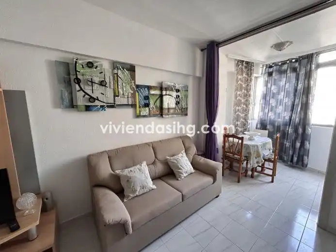 Studio mit Aufzug zur Miete in Avenida Familia de Betancourt y Molina 14, imagen 3
