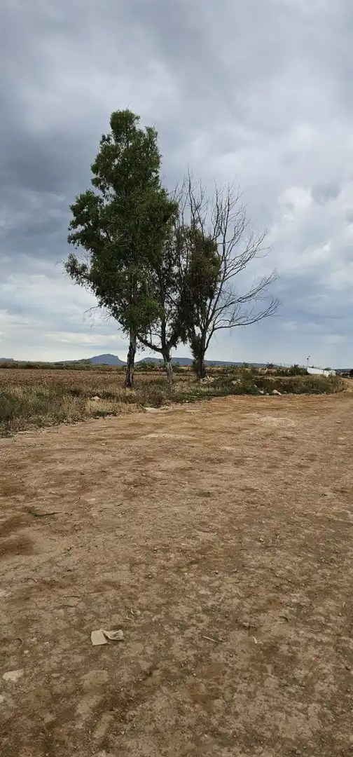 Terreno en venta en Camino el Hornico, Sucina