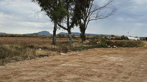 Foto 4 de Terreno en venta en Camino el Hornico, Sucina,  Murcia Capital