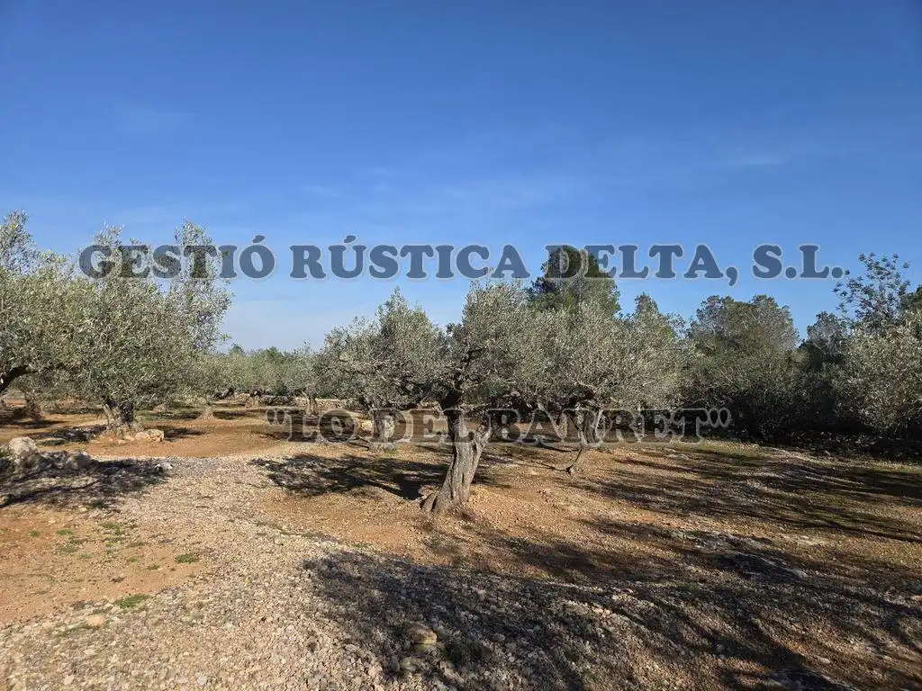 Finca rústica en venda en L'Ampolla amb Terrassa