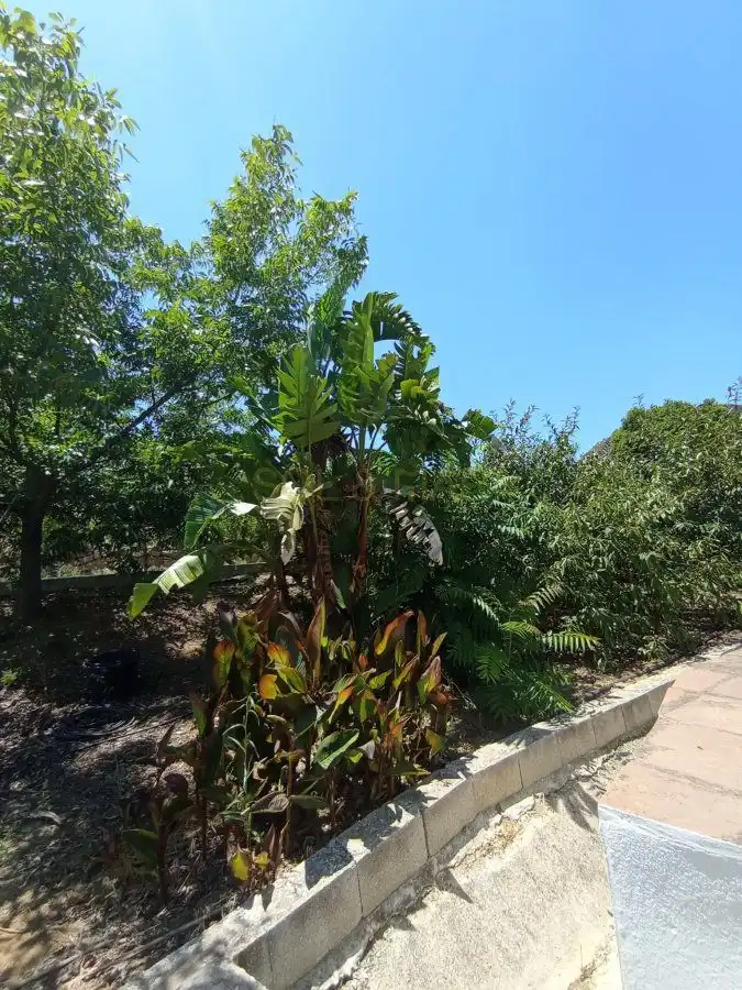 Jardí de Finca rústica en venda en Álora amb Terrassa