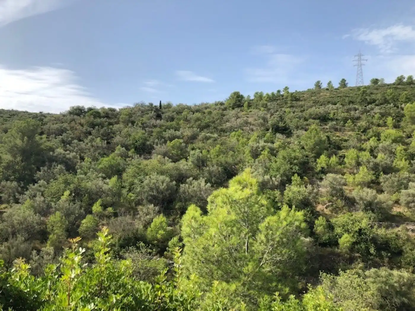 Rural land for sale in Alcanar, imagen 4