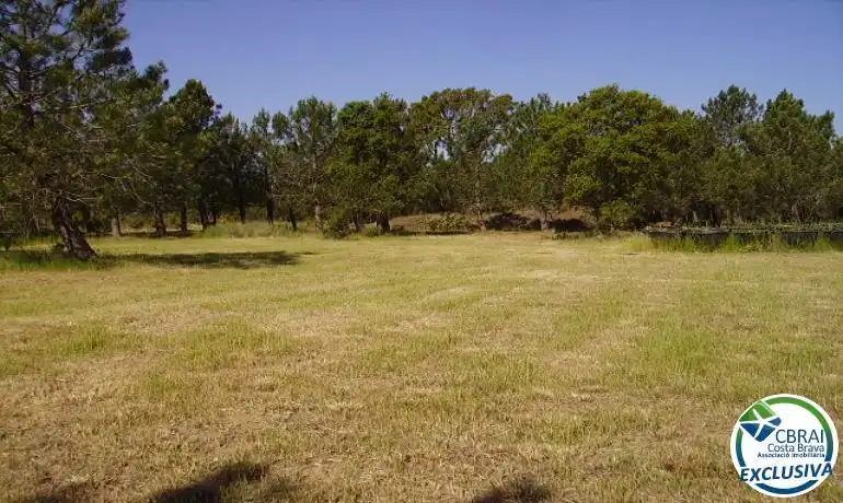 Lands and plots for sale in Butarós, imagen 5