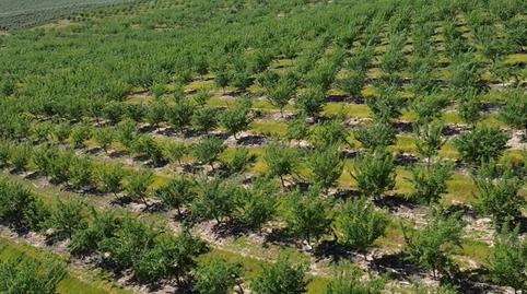 Photo 2 of Land for sale in Las Abejorras, El Higuerón,  Córdoba Capital