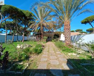 Jardí de Casa o xalet en venda en Chiclana de la Frontera amb Jardí privat