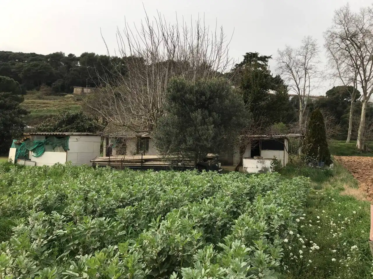 Rural land for sale in Vilanova del Vallès, imagen 4