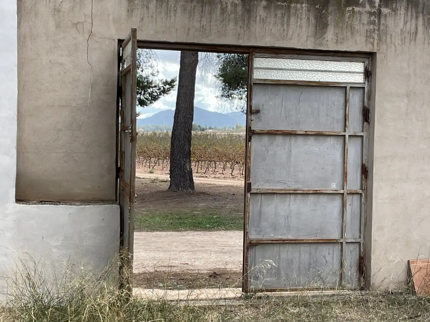 Vista exterior de Casa o xalet en venda en Monóvar  / Monòver