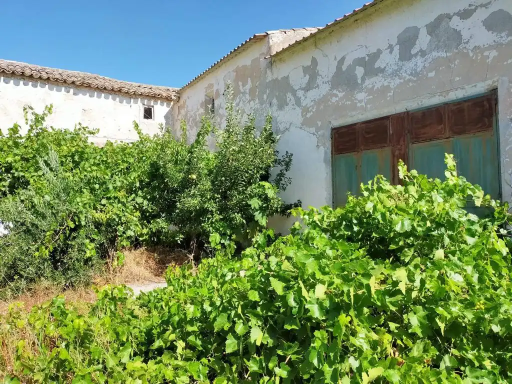 Jardín de Casa o chalet en venta en Villarrubio