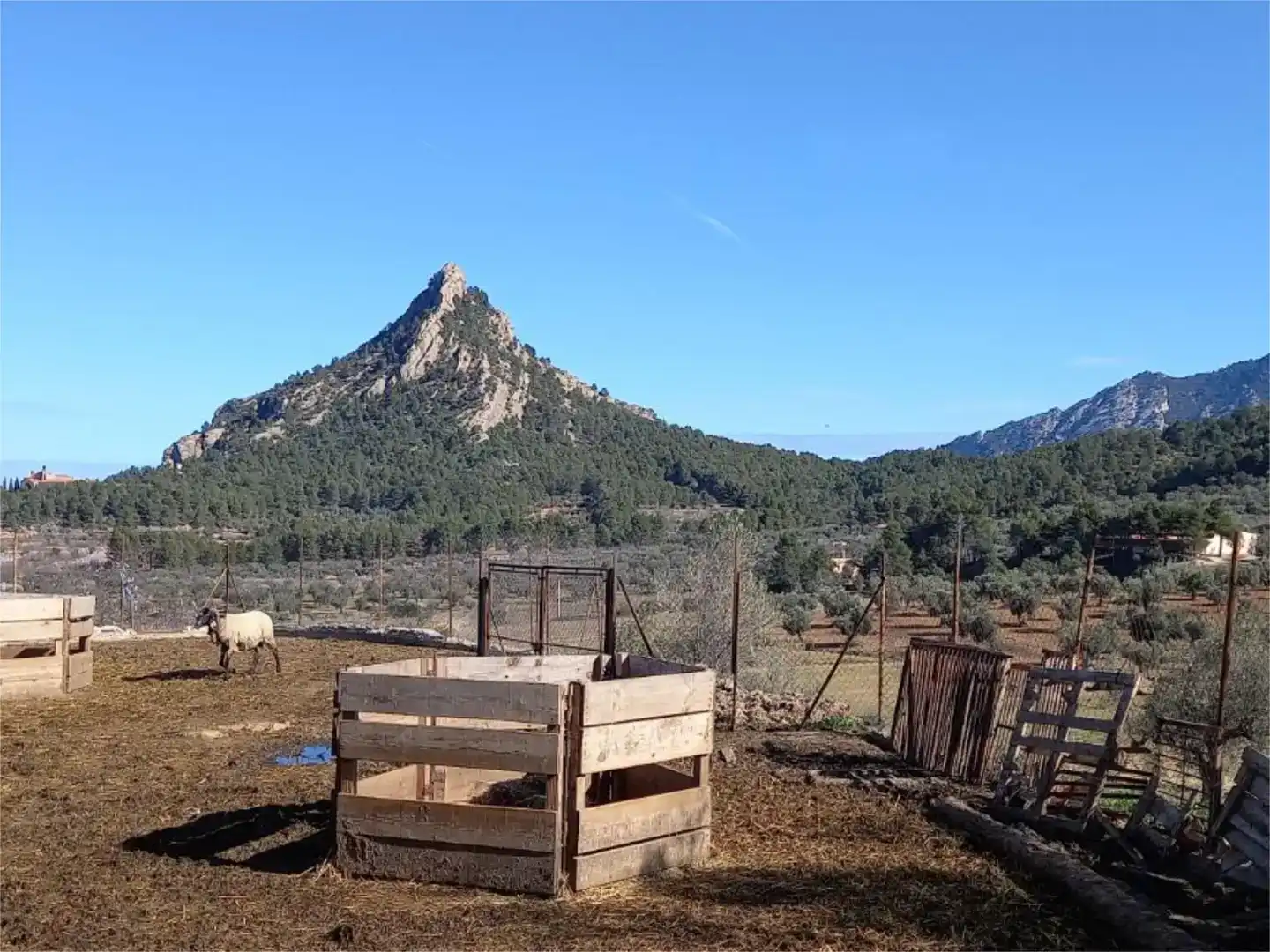 Vista exterior de Nau industrial en venda en Horta de Sant Joan