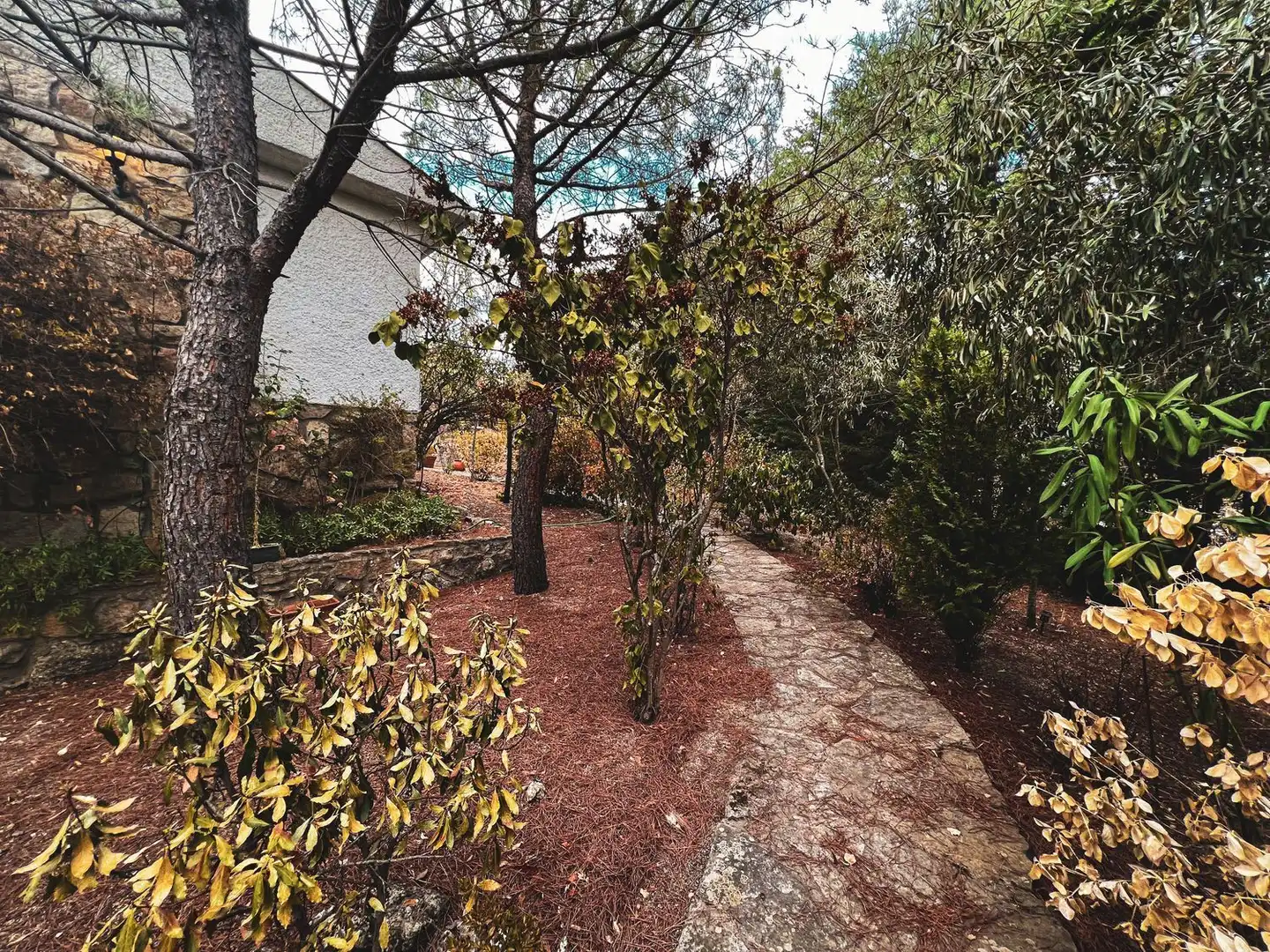 Jardí de Casa o xalet en venda en La Cabrera amb Jardí privat, Terrassa i Traster