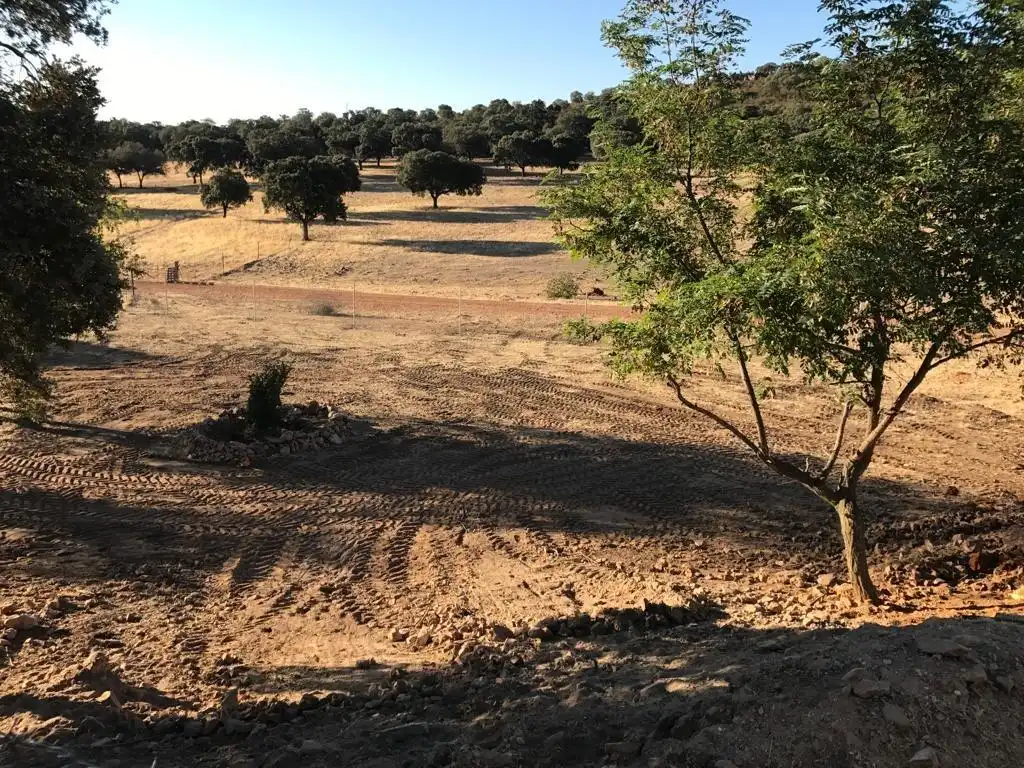 Casa rústica en venda a Almodóvar del Campo, imagen 7