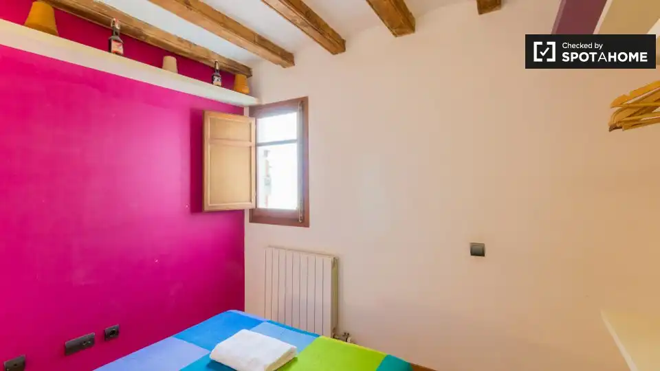 Appartamento con terrazza in affitto a Ciutat Vella, imagen 13