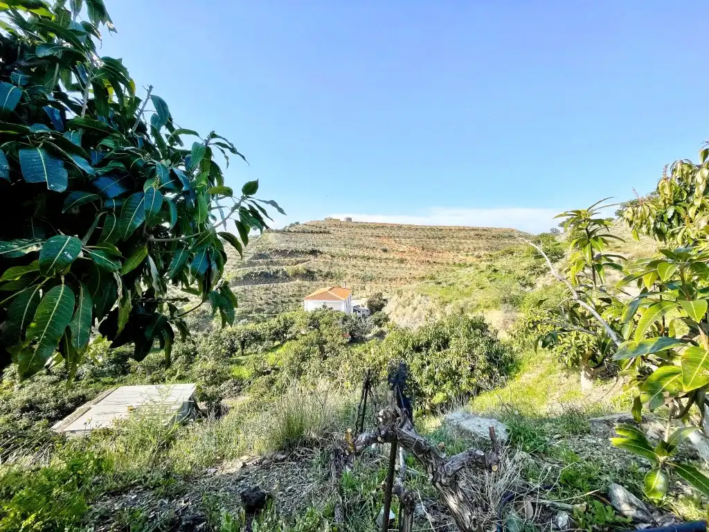 Casa rústica amb jardí en venda a Vélez-Málaga ciudad, imagen 27