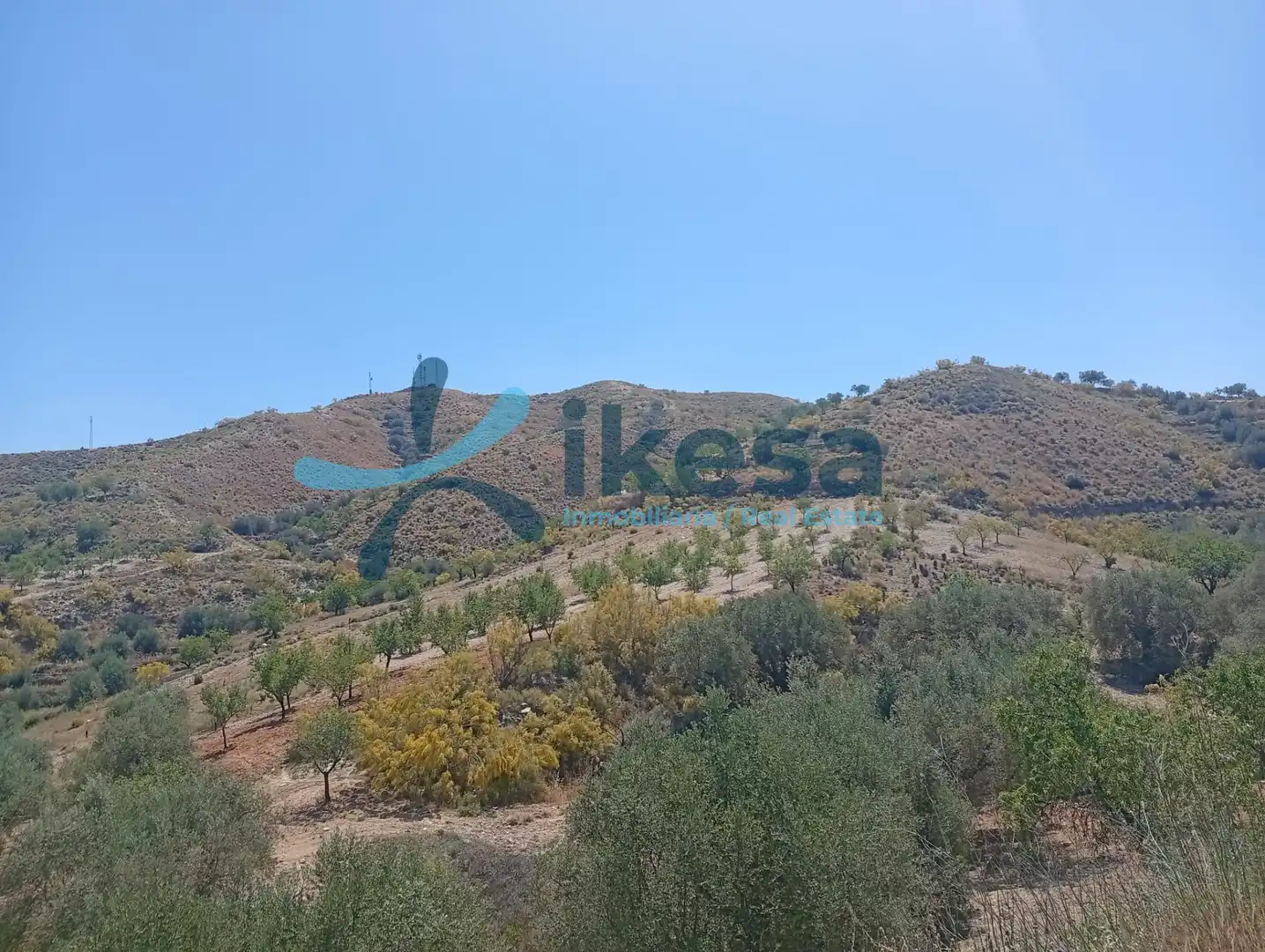 Lands and plots for sale in Cantoria, imagen 12