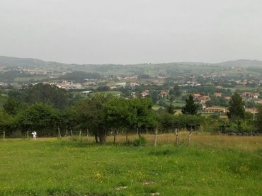 Terreno rustico in vendita a Reocín