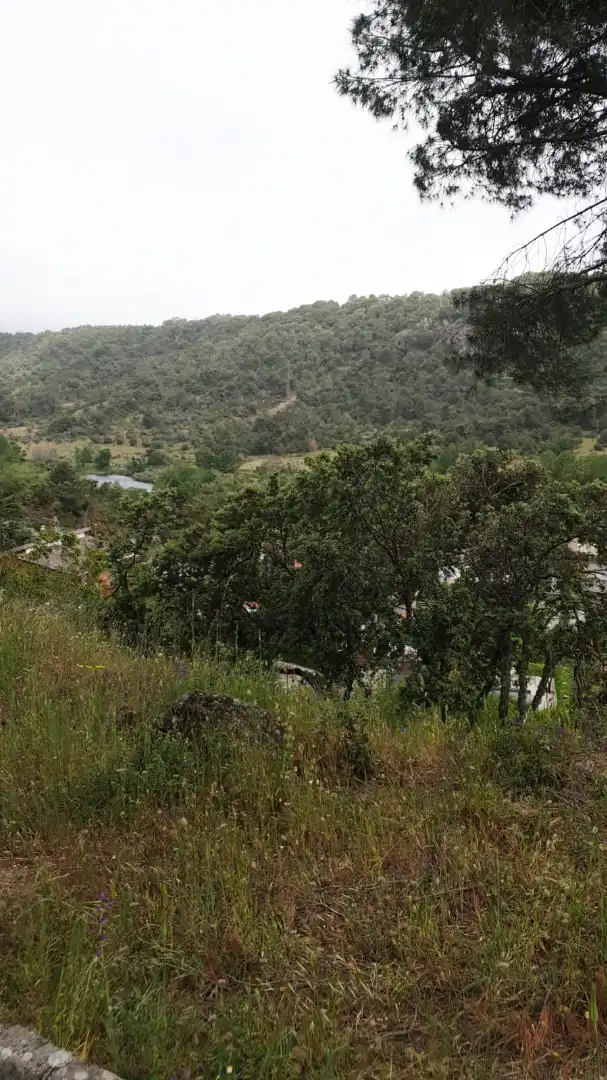 Residential land for sale in Calle Fuente la Peluquera 358, imagen 3