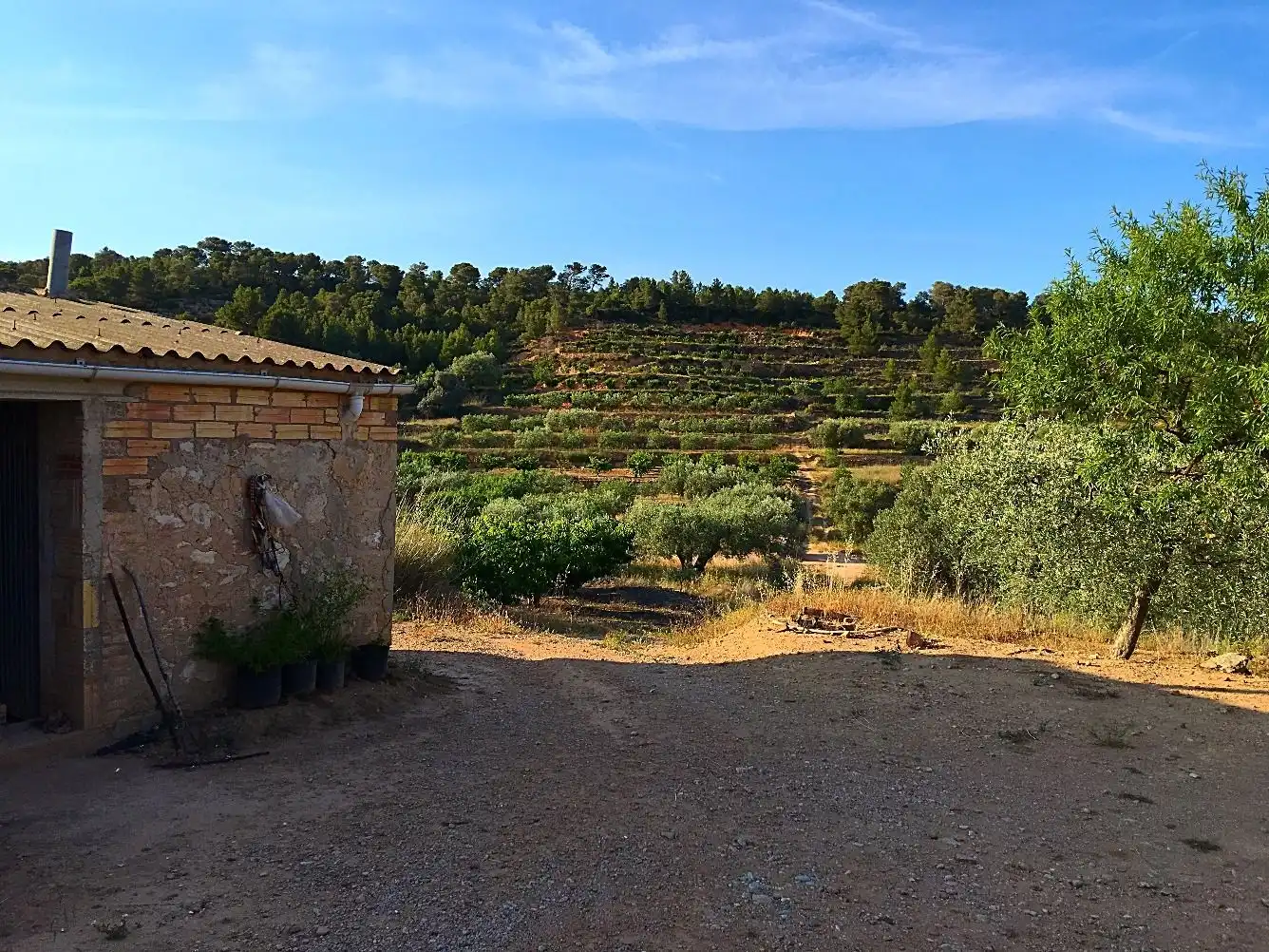 Maison rustique à vendre à El Pinell de Brai, imagen 2