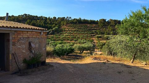 Foto 2 de Finca rústica en venda a El Pinell de Brai, Tarragona