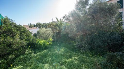 Photo 4 of Residential for sale in Carrer del Doctor Servera, Son Servera Poble, Son Servera