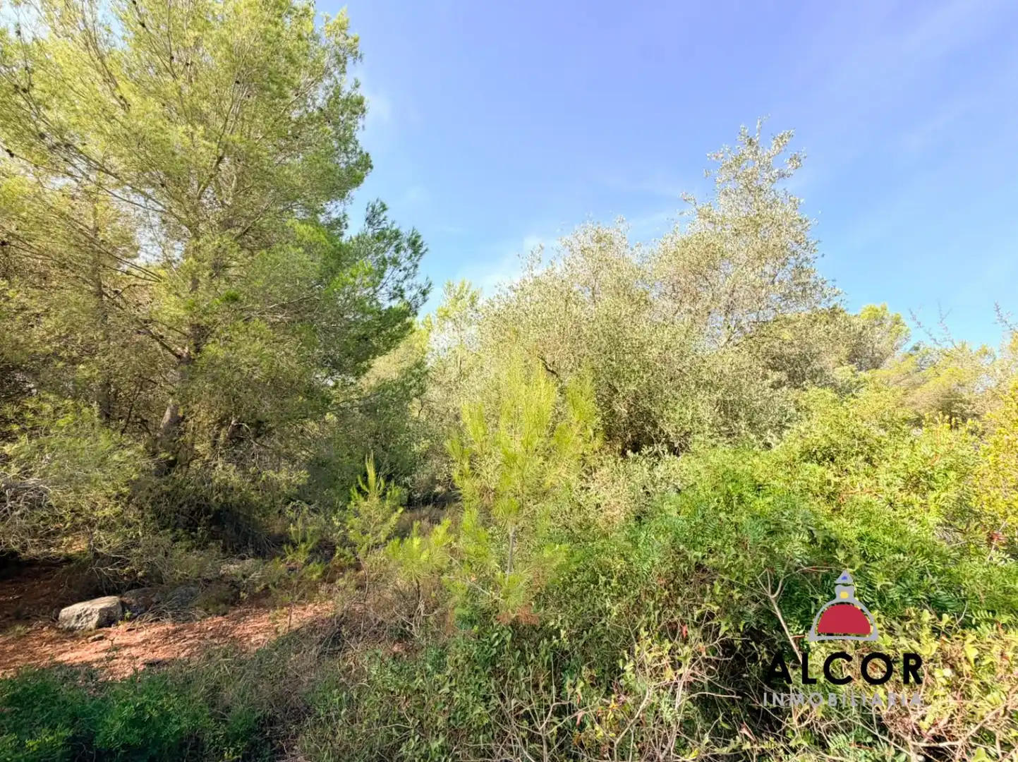 Terrenys i solars en venda a San Jorge / Sant Jordi, imagen 2