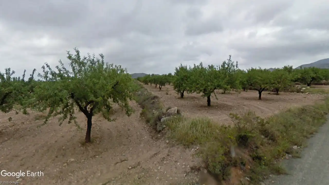 Terreno rustico in vendita a Campo de Murcia, imagen 5