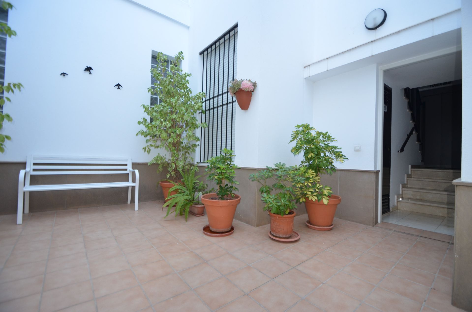 Piso en venta en Ayamonte ciudad