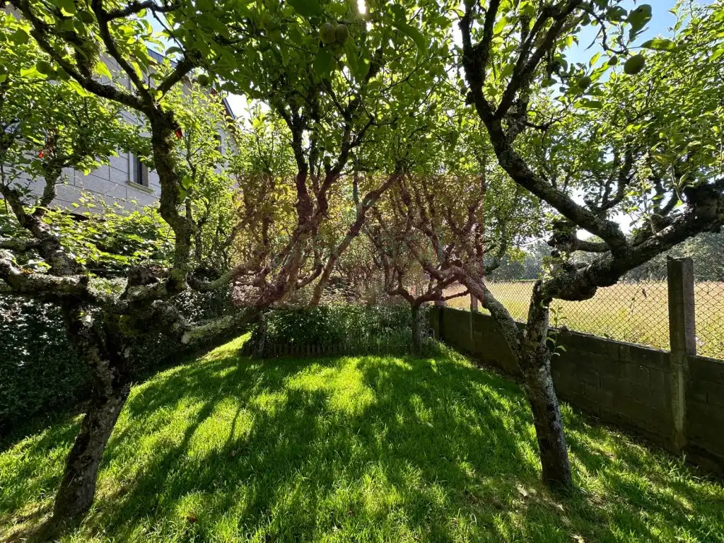 Jardín de Casa o chalet en venta en Lugo