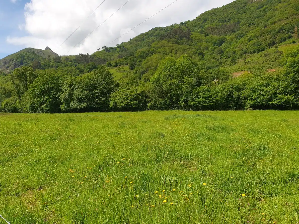 Rustikales Grundstück zum Verkauf in San Claudio - Trubia - Las Caldas, imagen 21