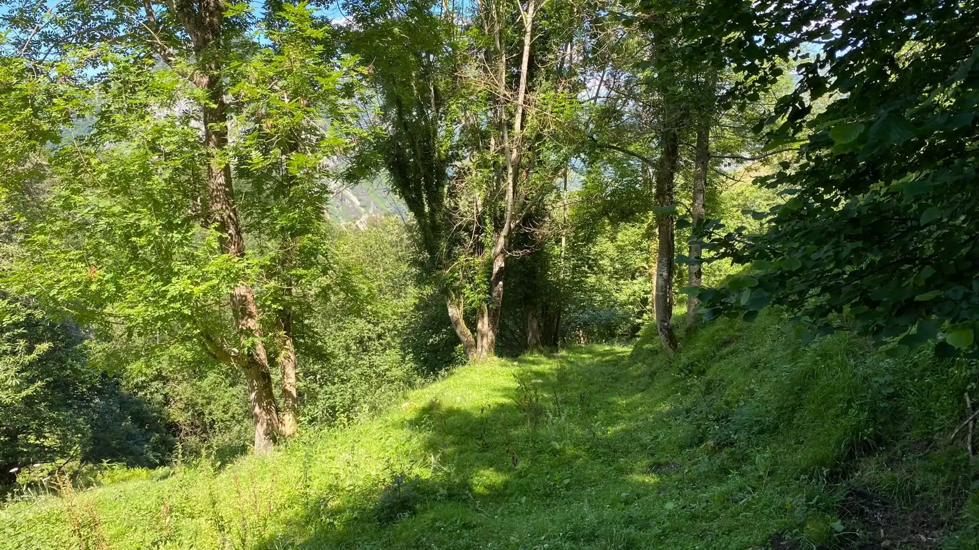 Terreno en venta en PRIESCA, Ponga