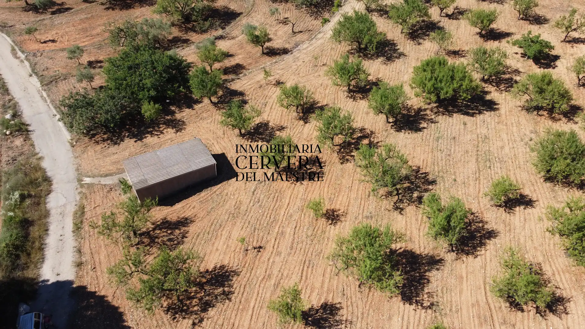 Rural land for sale in Cervera del Maestre, imagen 20