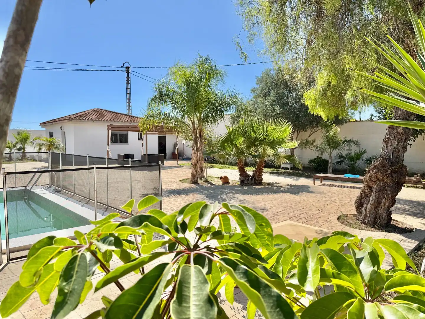 Vista exterior de Casa o chalet en venta en Elche / Elx con Aire acondicionado, Jardín privado y Terraza