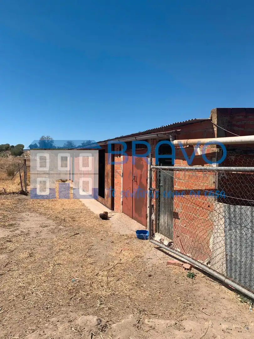Chalet en venta en La Haba, imagen 20