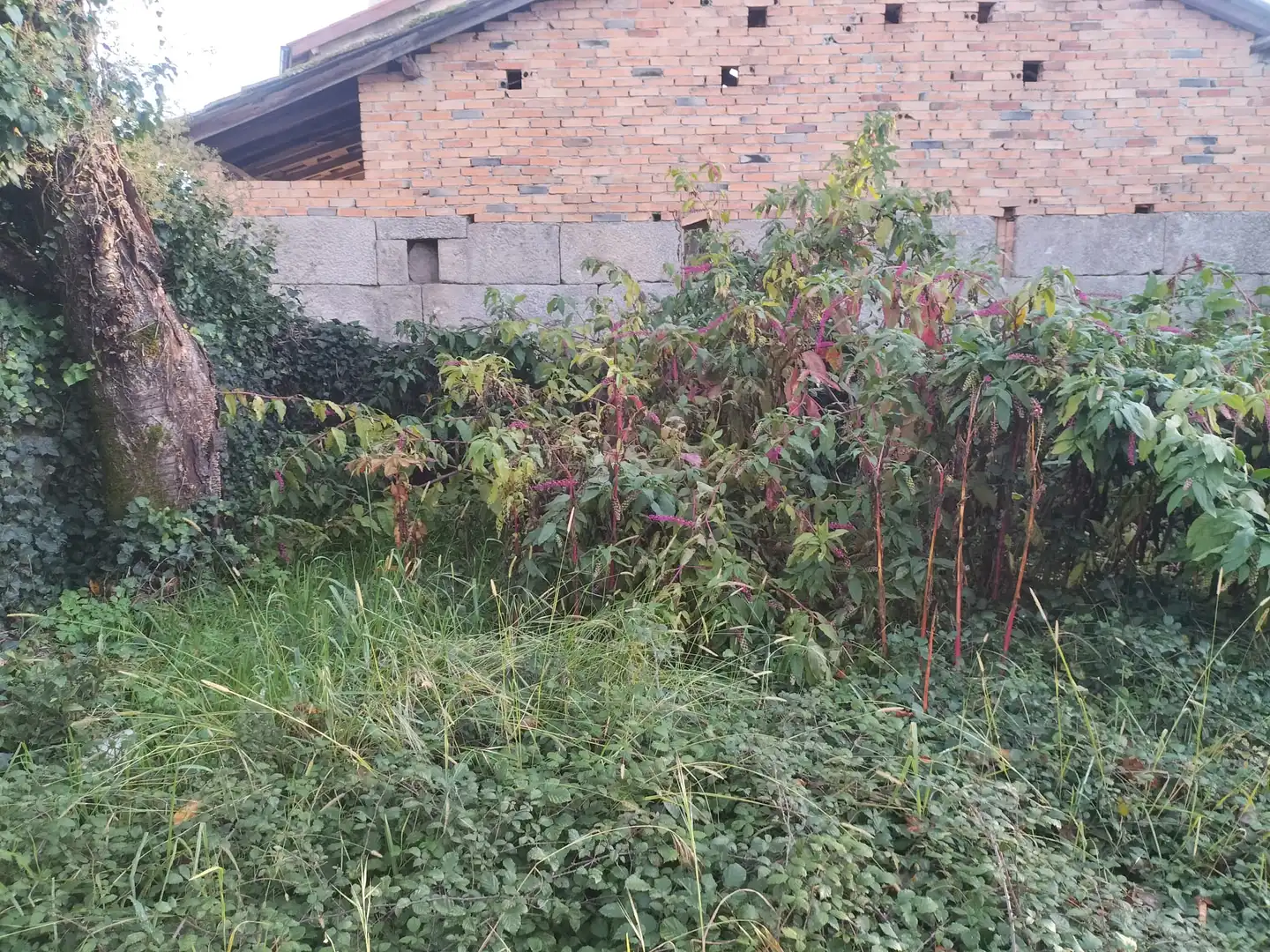 Country homes for sale in Amoeiro  with Private garden
