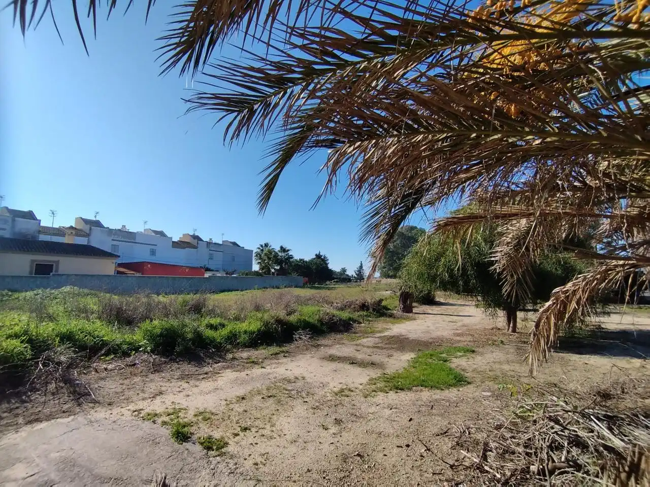 Lands and plots for sale in De Pozo De Las Vacas, imagen 7