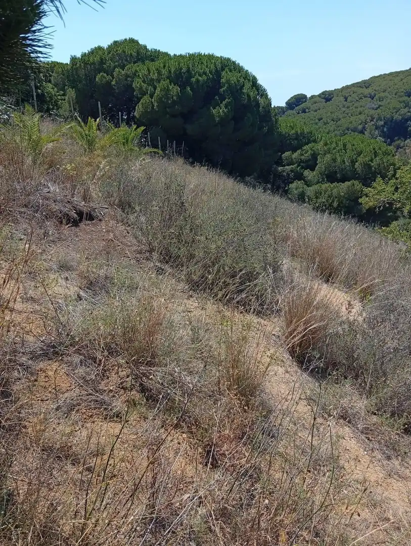 Terreno en venta en Calella
