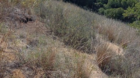 Photo 4 of Land for sale in de Les Basses, 4, Calella, Barcelona
