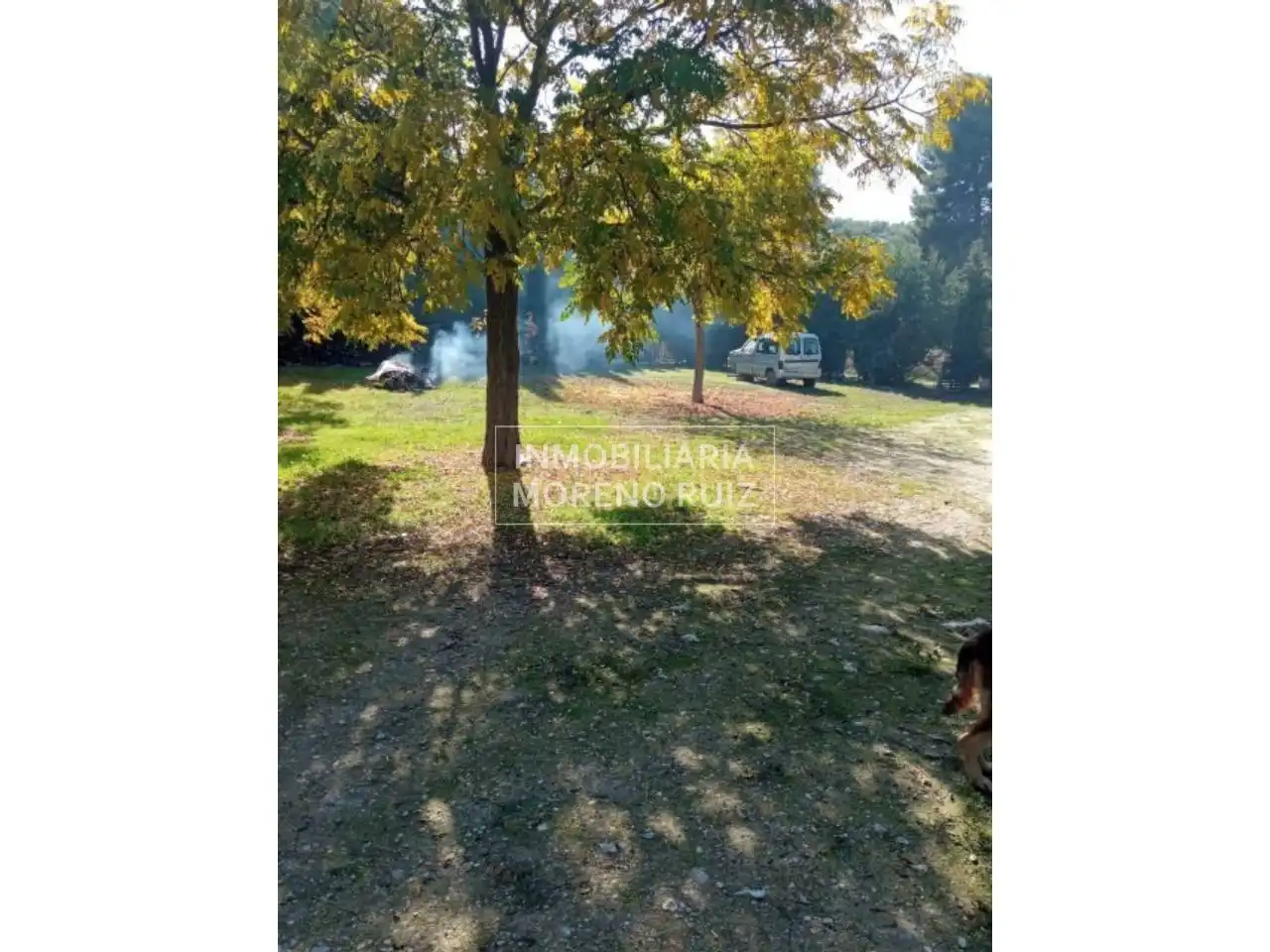 Finca rústica en venta en Zuheros