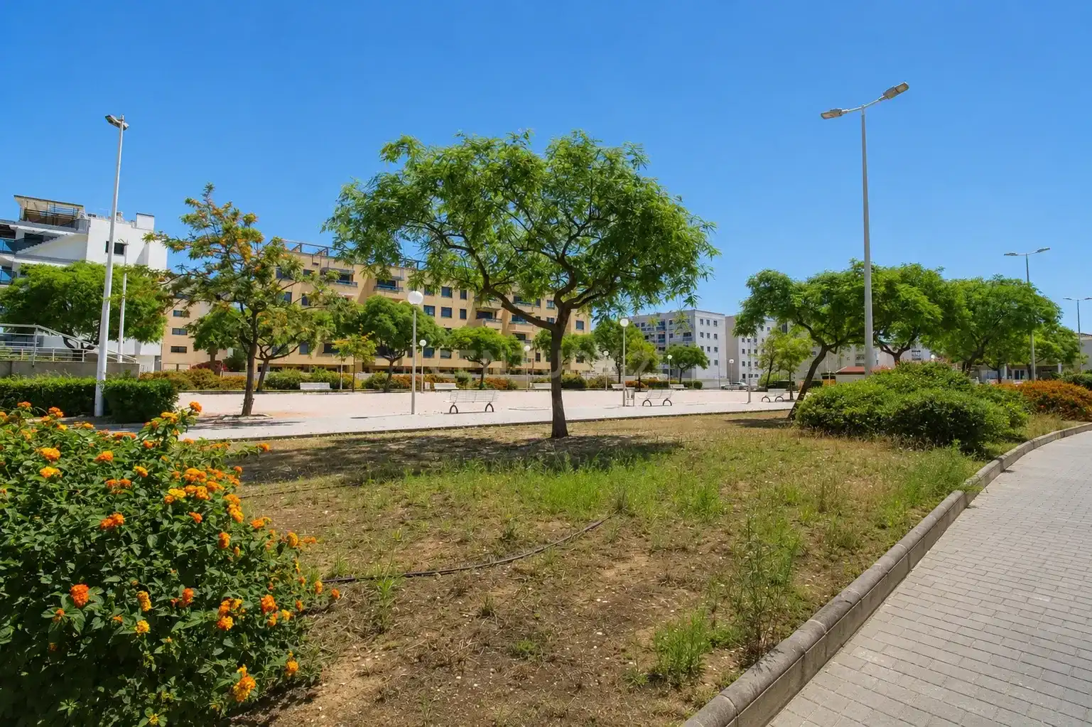 Terreno en venta en Bellreguard