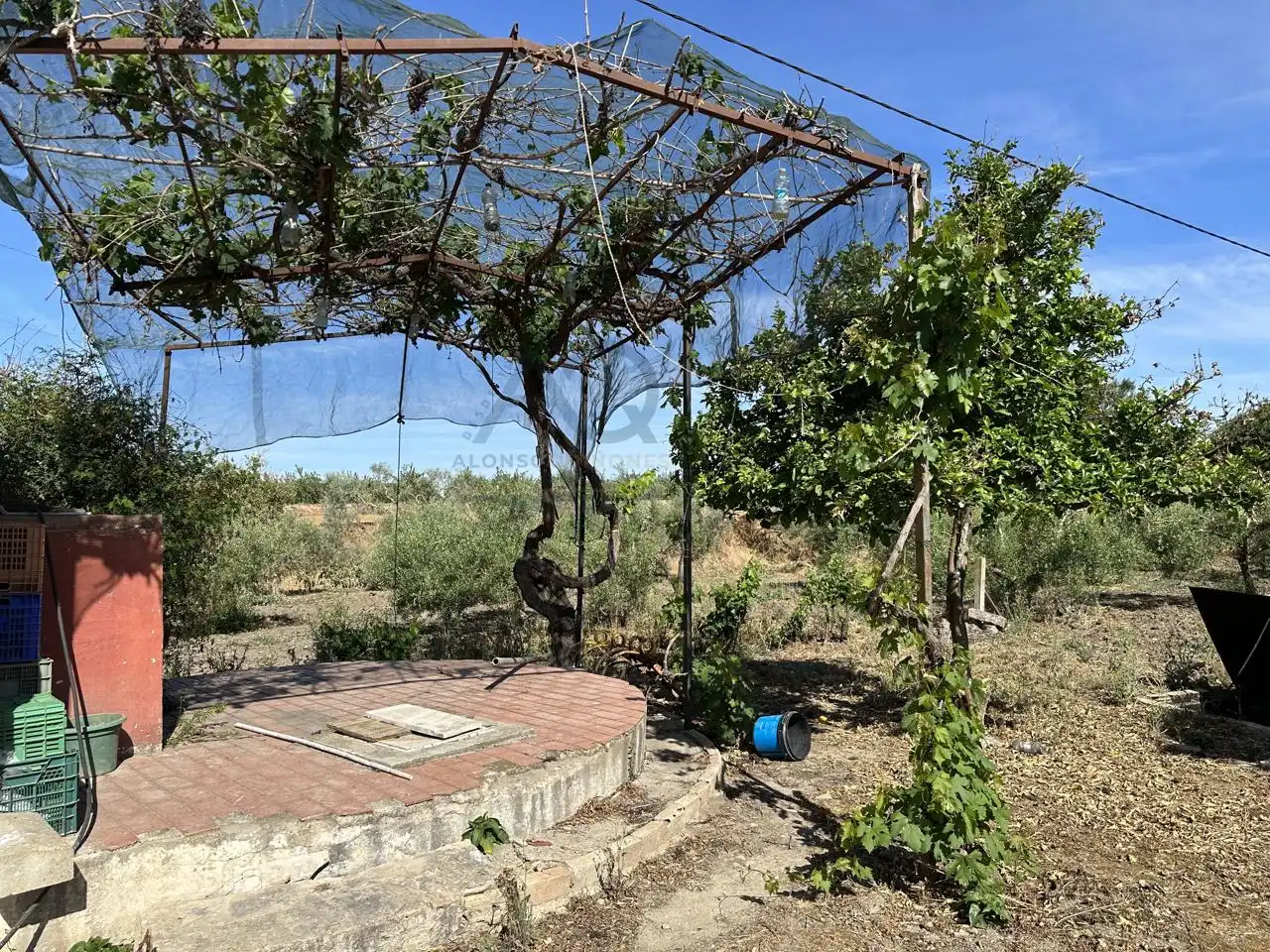 Casa rústica amb piscina en venda a Las Cabezas de San Juan, imagen 10