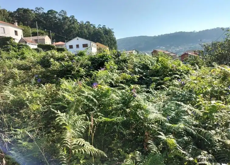 Residential land for sale in Lugar Freixeiro, imagen 8