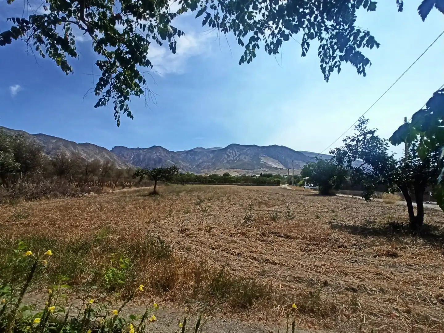 Rural land for sale in Dúrcal, imagen 4