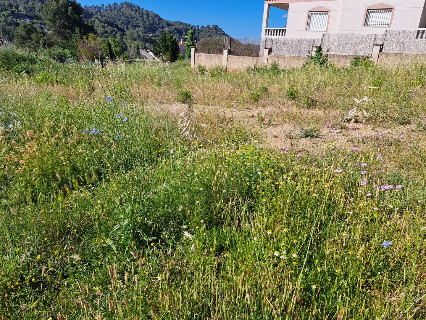 Terreno residencial en venta en Piera, imagen 3